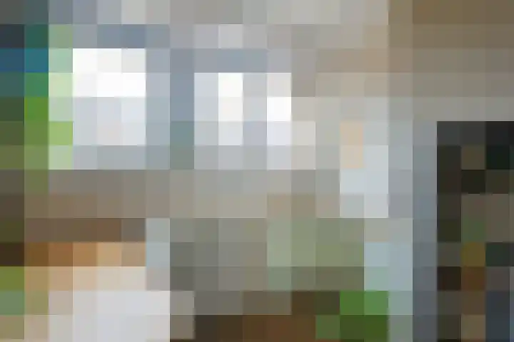 Acaciastraat 12 BS Utrecht thumbnail 26
