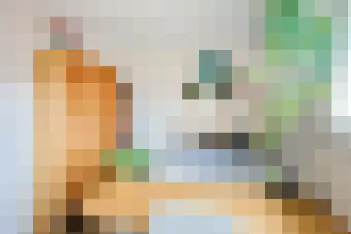 Acaciastraat 12 BS Utrecht thumbnail 28