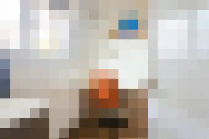 Acaciastraat 12 BS Utrecht thumbnail 29