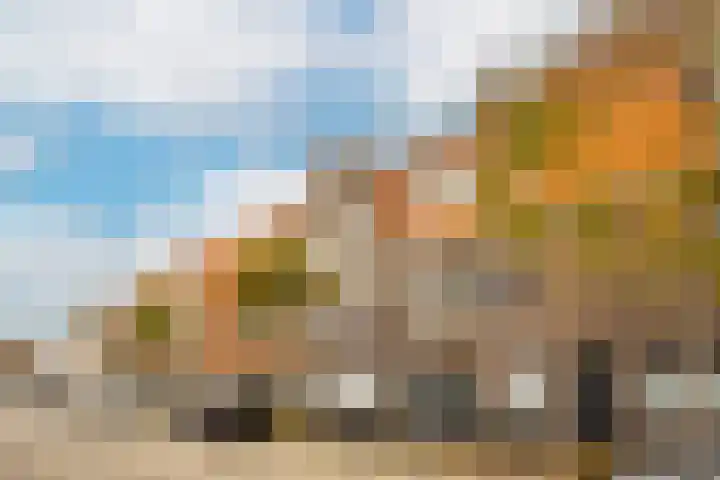 Acaciastraat 12 BS Utrecht thumbnail 37