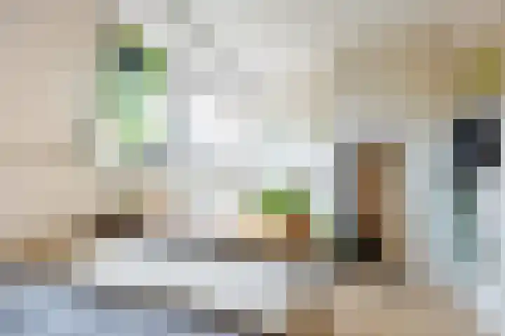 Acaciastraat 12 BS Utrecht thumbnail 4