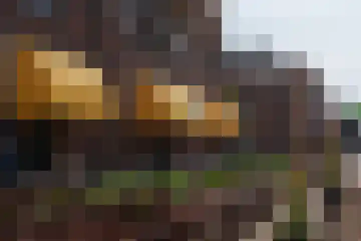 Acaciastraat 12 BS Utrecht thumbnail 42