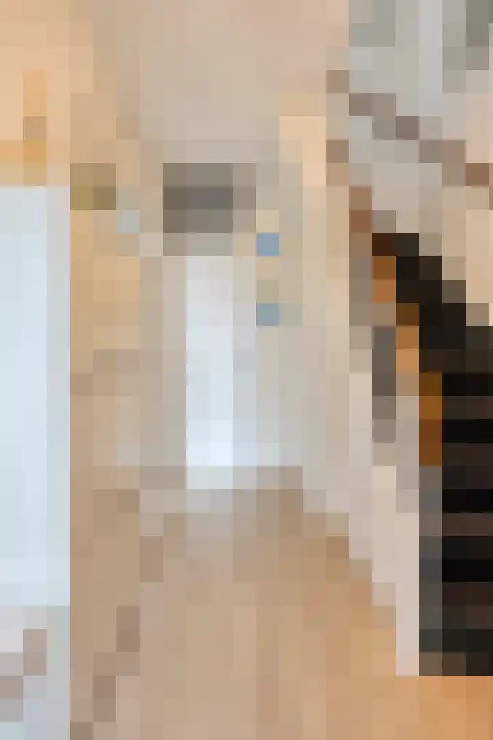 Acaciastraat 12 Spijkenisse thumbnail 11