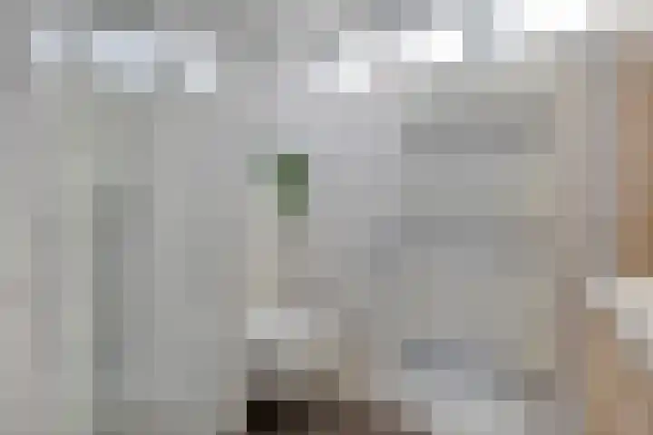 Acaciastraat 12 Spijkenisse thumbnail 13