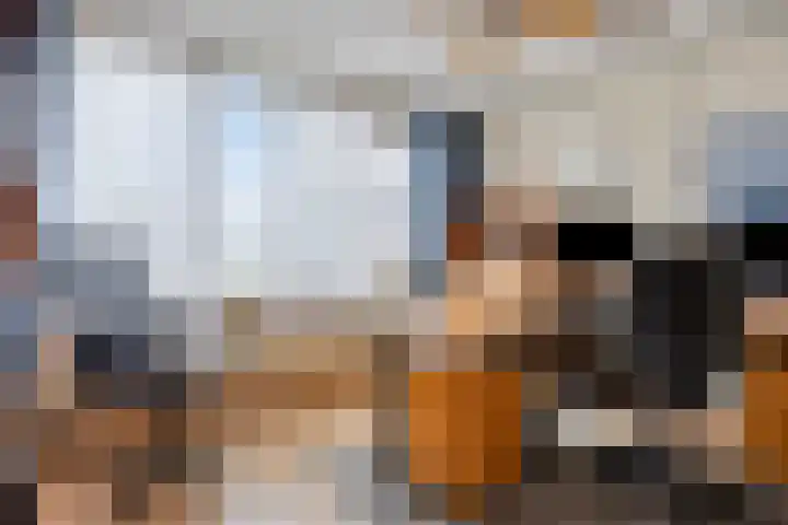 Acaciastraat 12 Spijkenisse thumbnail 17