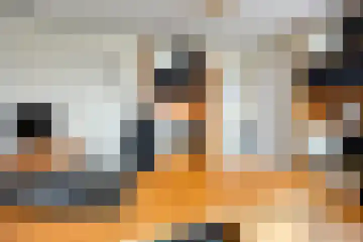 Acaciastraat 12 Spijkenisse thumbnail 18