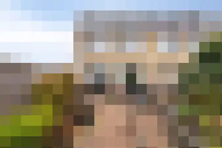 Acaciastraat 12 Spijkenisse thumbnail 25