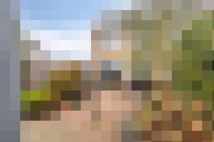 Acaciastraat 12 Spijkenisse thumbnail 26