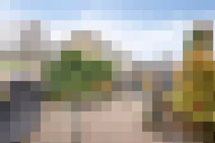 Acaciastraat 12 Spijkenisse thumbnail 28