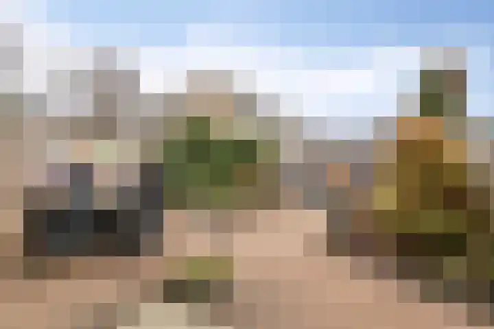 Acaciastraat 12 Spijkenisse thumbnail 29