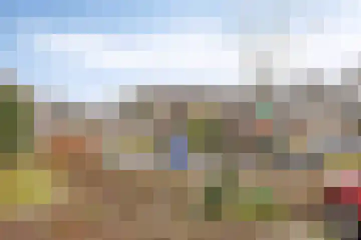 Acaciastraat 12 Spijkenisse thumbnail 31