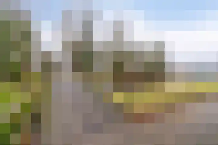 Acaciastraat 12 Spijkenisse thumbnail 35