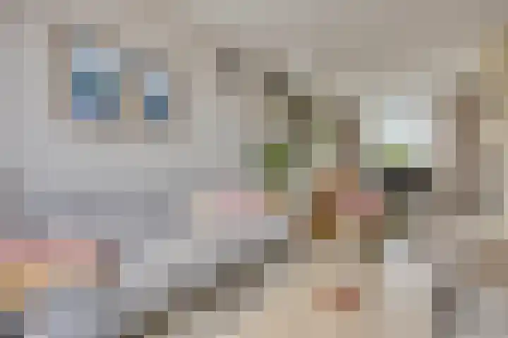 Acaciastraat 12 Spijkenisse thumbnail 4