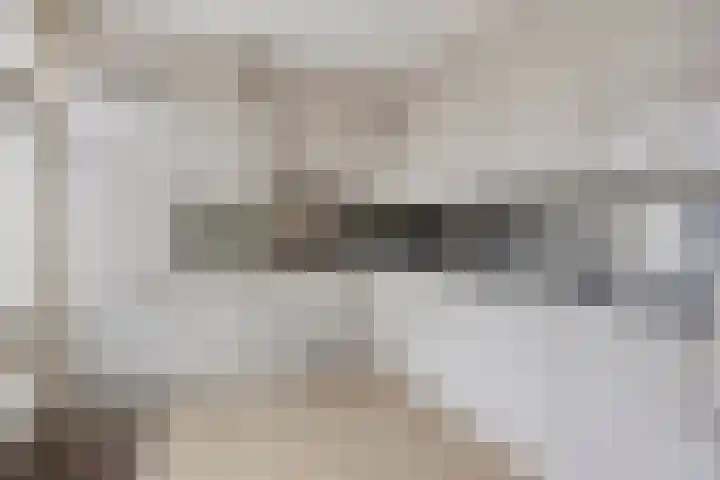 Acaciastraat 12 Spijkenisse thumbnail 8