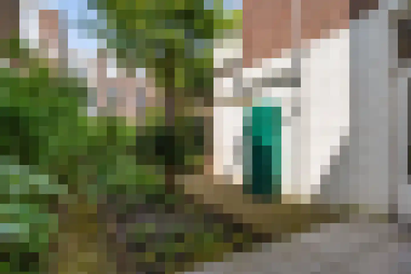 Acaciastraat 121 Den Haag thumbnail 34