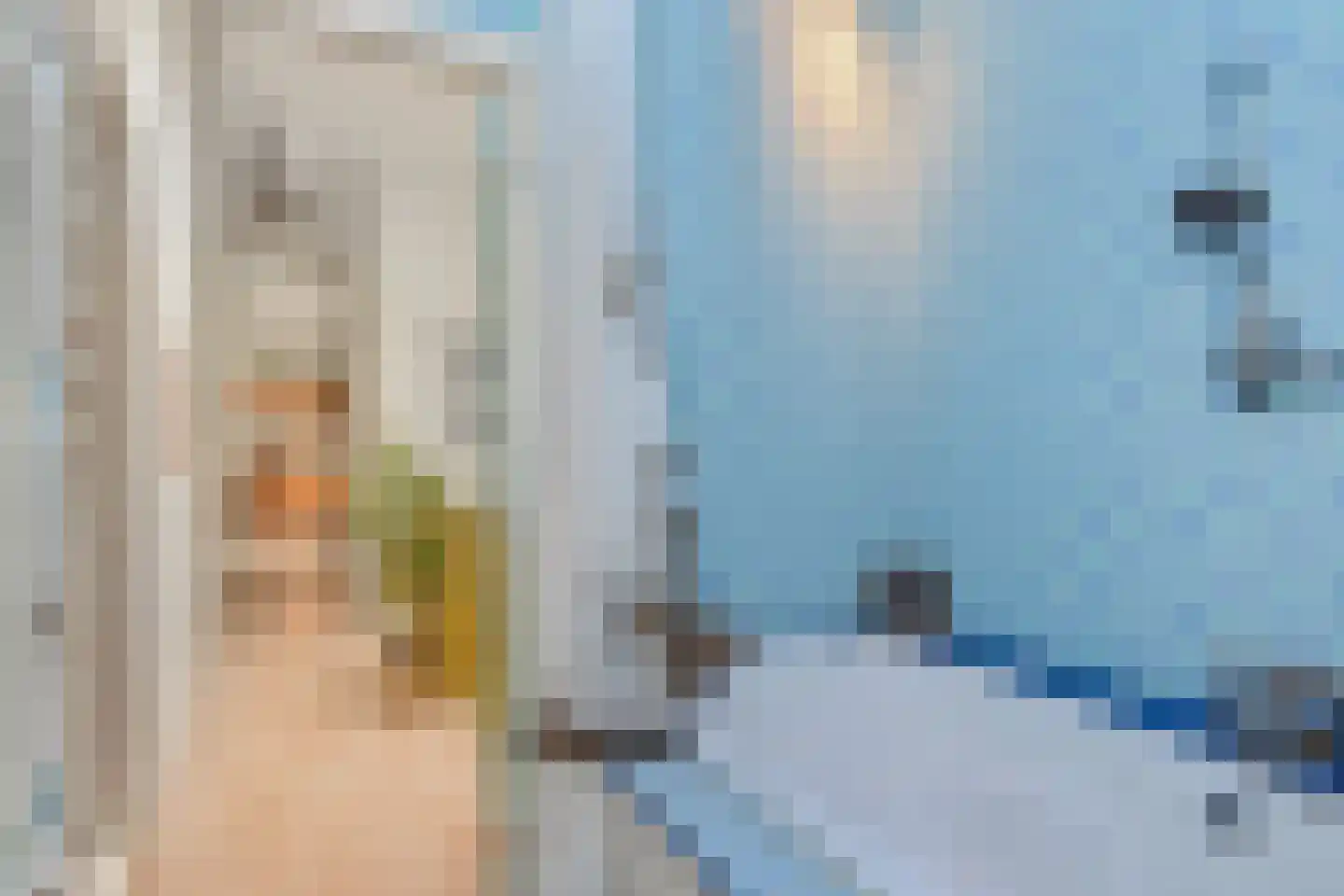 Acaciastraat 123 Den Haag thumbnail 14