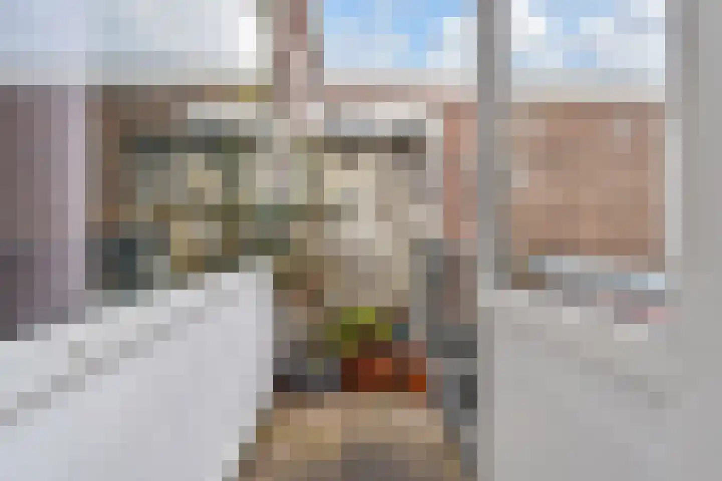 Acaciastraat 123 Den Haag thumbnail 17