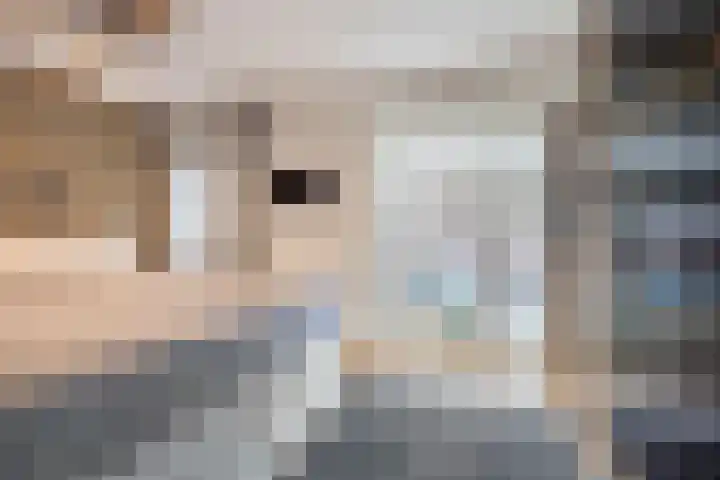 Acaciastraat 127 Breda thumbnail 17