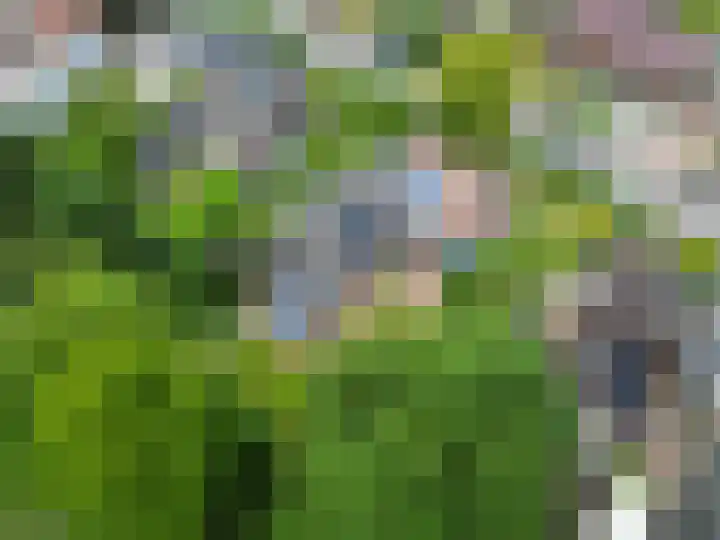 Acaciastraat 13 Tilburg thumbnail 17