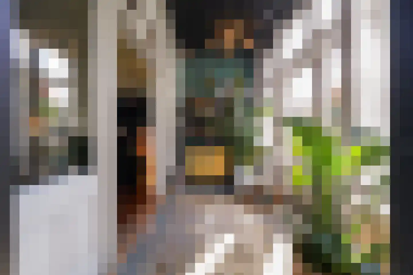 Acaciastraat 13 Tilburg thumbnail 23