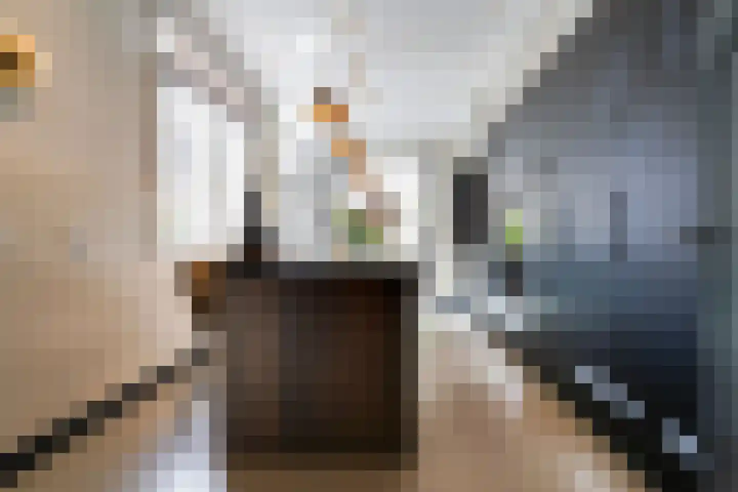 Acaciastraat 13 Tilburg thumbnail 29