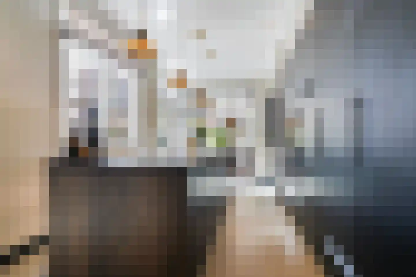 Acaciastraat 13 Tilburg thumbnail 30