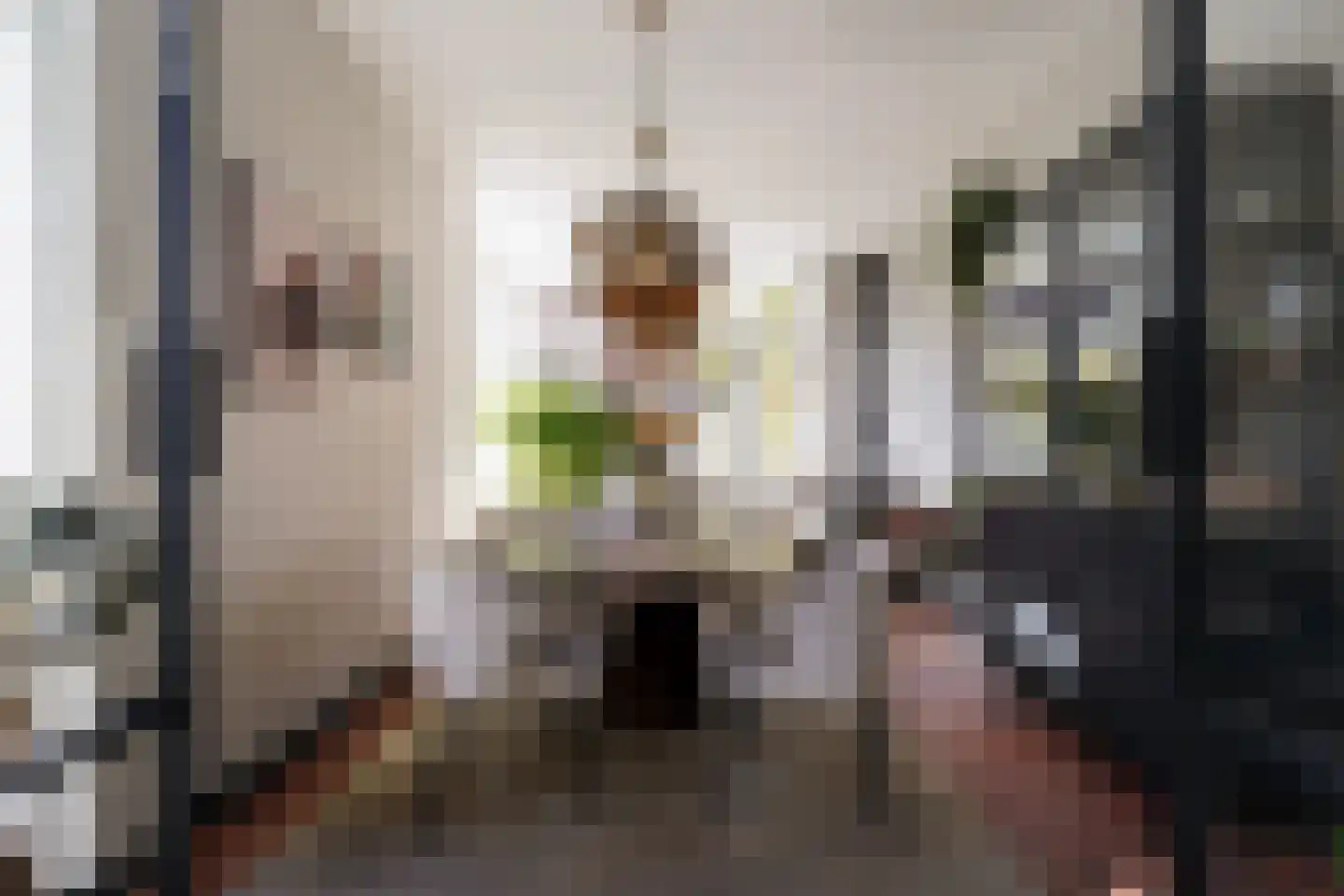 Acaciastraat 13 Tilburg thumbnail 35