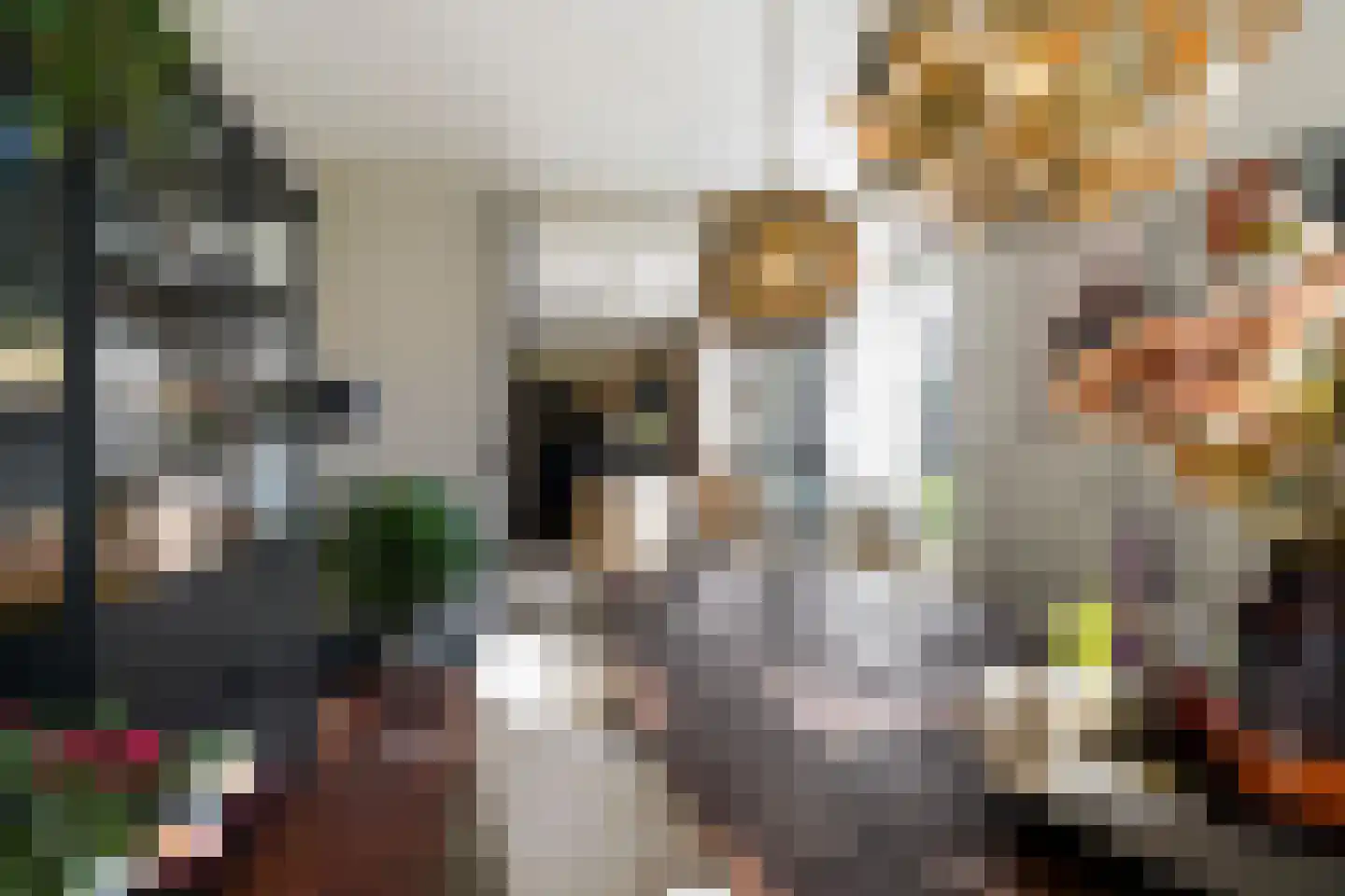 Acaciastraat 13 Tilburg thumbnail 38