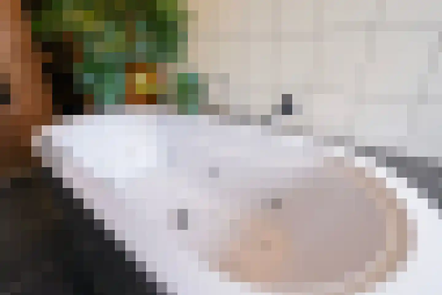 Acaciastraat 13 Tilburg thumbnail 61