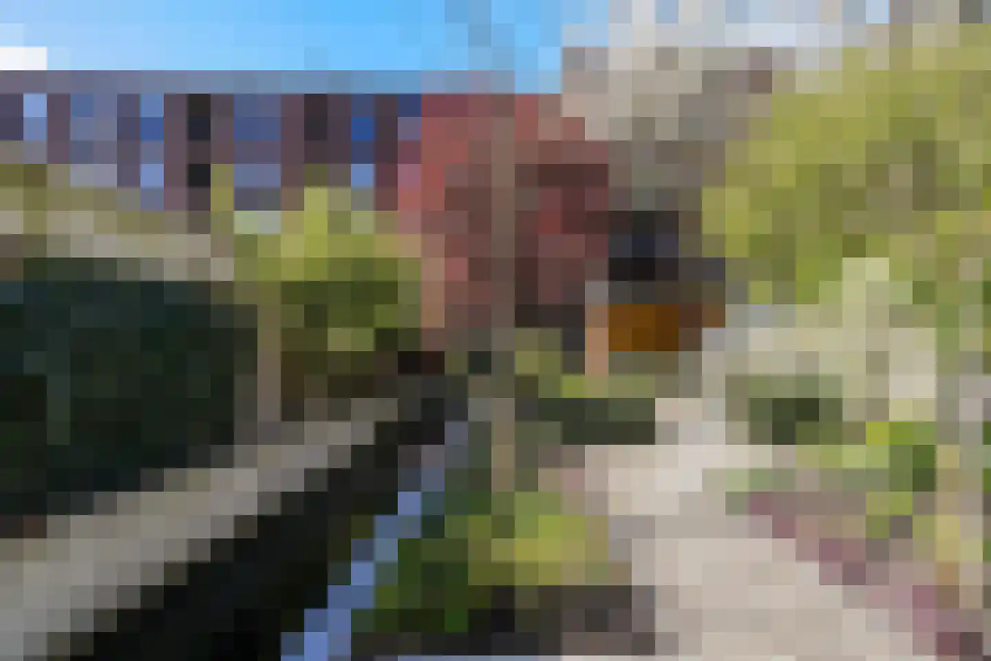 Acaciastraat 13 Tilburg thumbnail 82