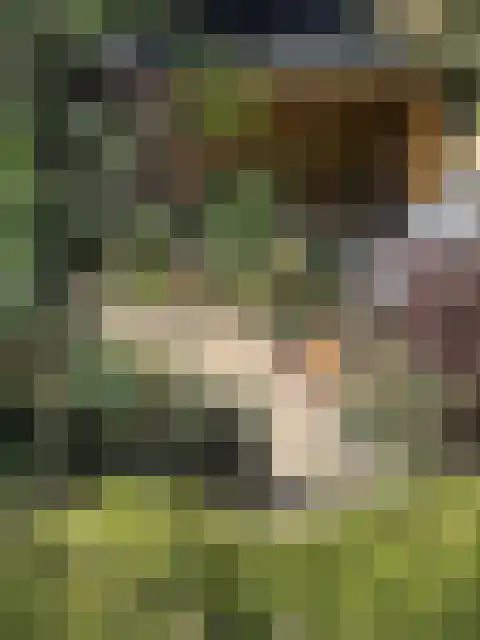 Acaciastraat 13 Tilburg thumbnail 89