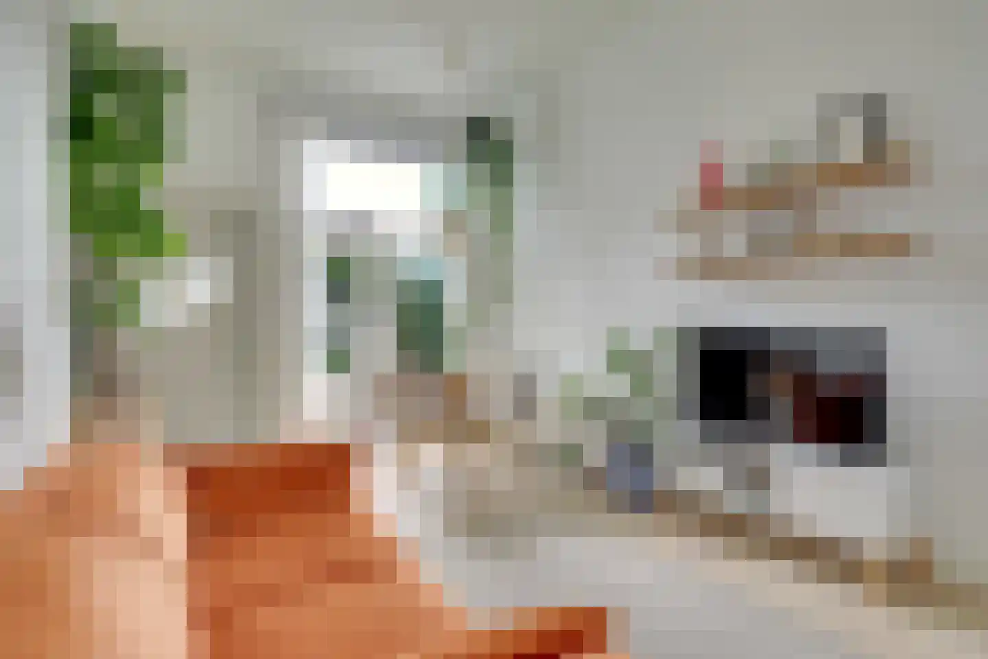 Acaciastraat 13 Utrecht thumbnail 13