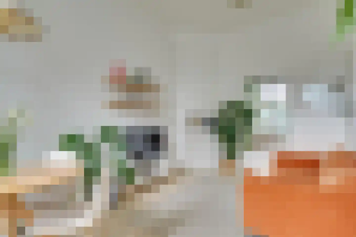 Acaciastraat 13 Utrecht thumbnail 15