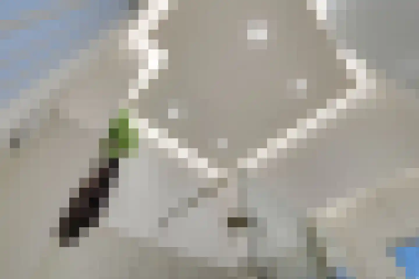 Acaciastraat 13 Utrecht thumbnail 24