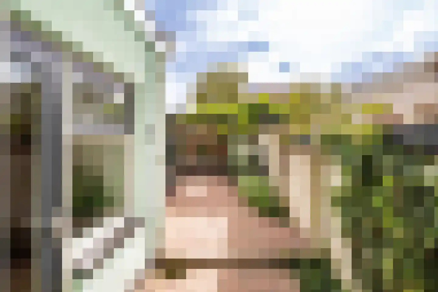 Acaciastraat 13 Utrecht thumbnail 29