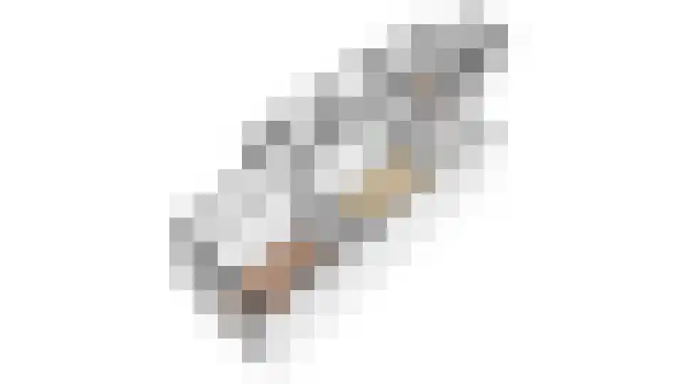 Acaciastraat 13 Utrecht thumbnail 38