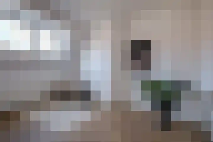 Acaciastraat 15 BS Utrecht thumbnail 12