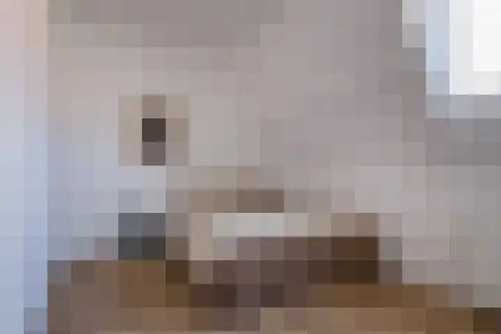 Acaciastraat 15 BS Utrecht thumbnail 13