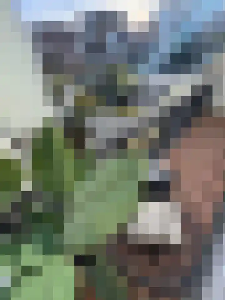 Acaciastraat 15 BS Utrecht thumbnail 16