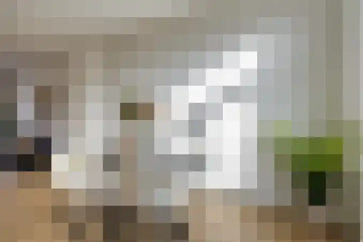 Acaciastraat 15 BS Utrecht thumbnail 7
