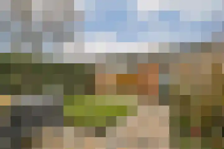Acaciastraat 15 Dordrecht thumbnail 15