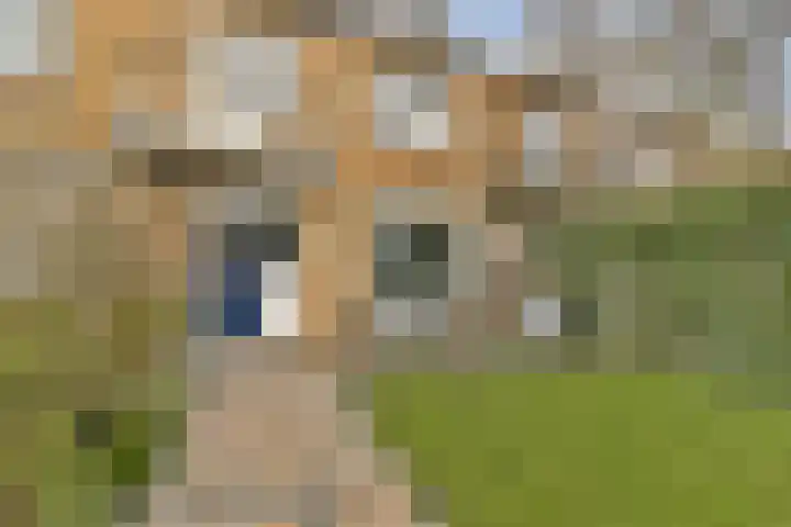 Acaciastraat 15 Dordrecht thumbnail 17