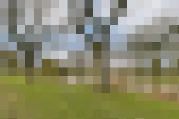 Acaciastraat 15 Dordrecht thumbnail 31