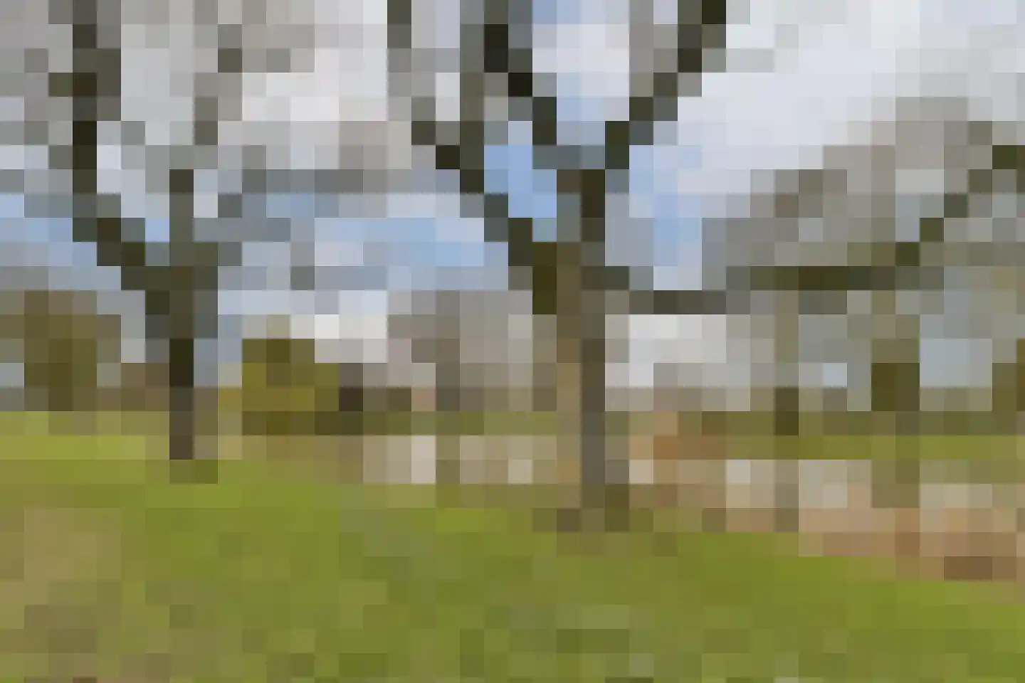 Acaciastraat 15 Dordrecht thumbnail 31
