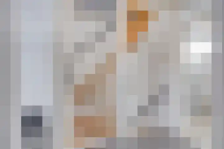 Acaciastraat 15 Oud-Beijerland thumbnail 20