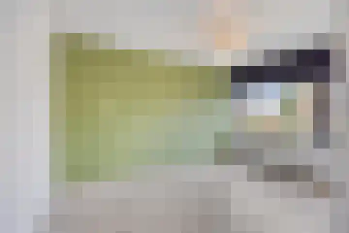 Acaciastraat 15 Oud-Beijerland thumbnail 21