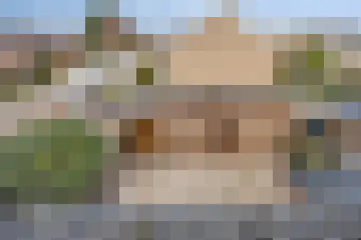 Acaciastraat 15 Oud-Beijerland thumbnail 35