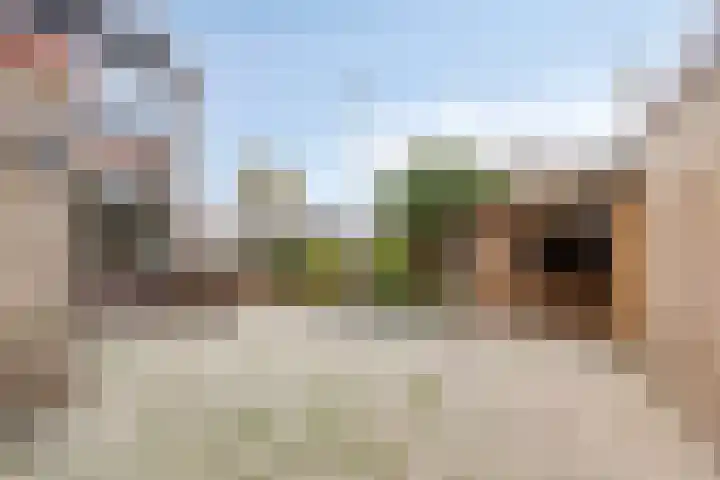 Acaciastraat 15 Oud-Beijerland thumbnail 37