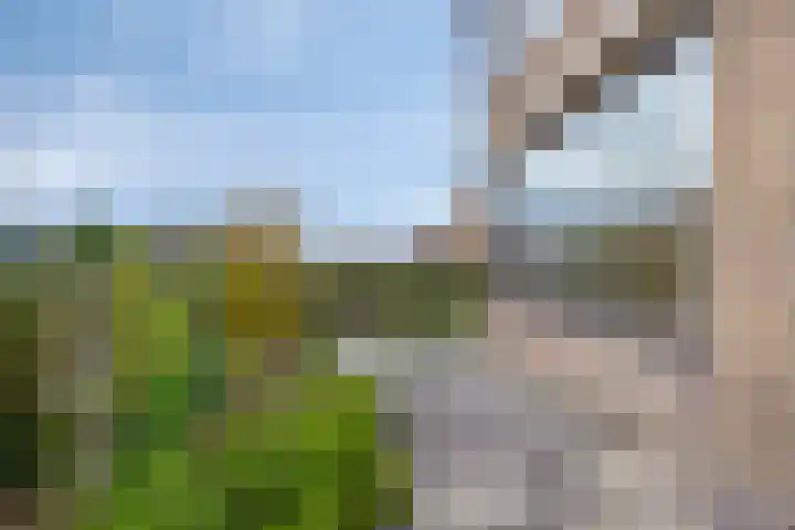 Acaciastraat 15 Oud-Beijerland thumbnail 8