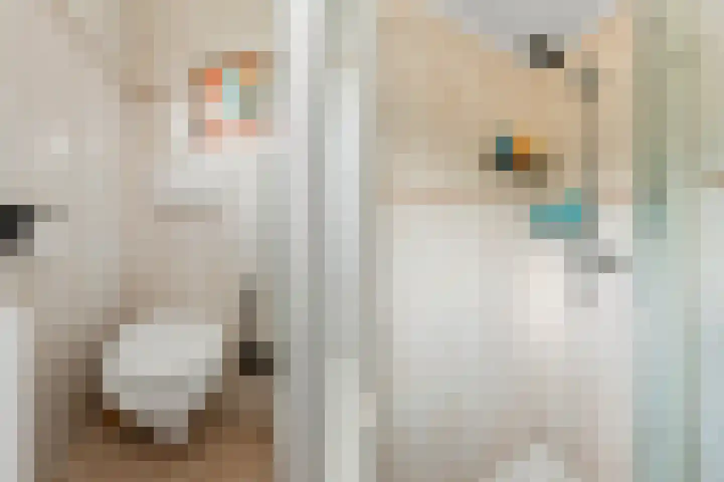 Acaciastraat 16 Heijen thumbnail 17